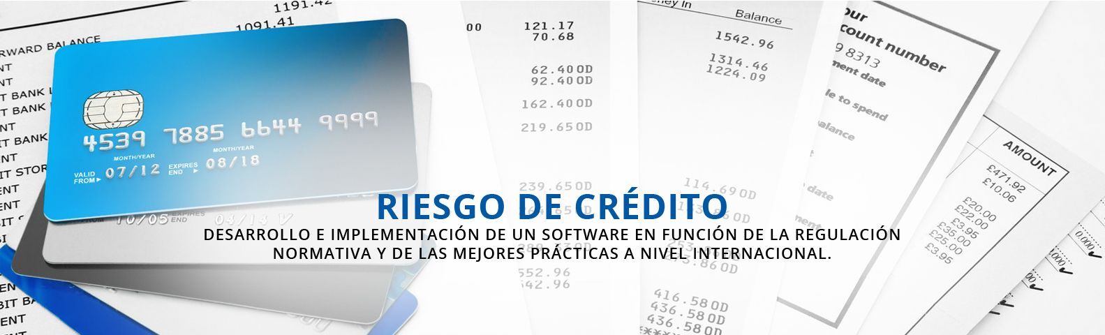 BNR RIESGO DE CREDITO 01