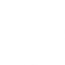 icono smart investor